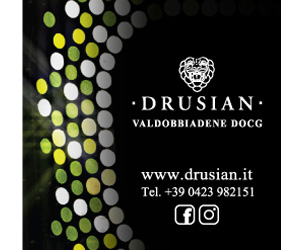 drusian 300x250